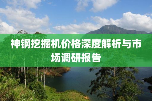 神钢挖掘机价格深度解析与市场调研报告