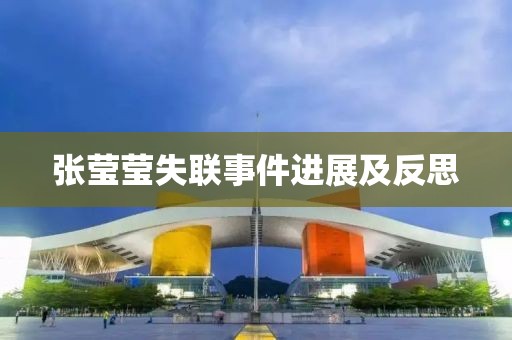 张莹莹失联事件进展及反思