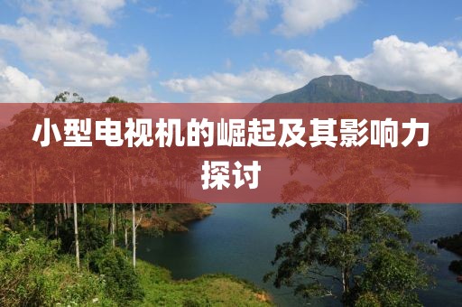 小型电视机的崛起及其影响力探讨