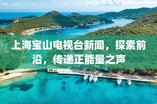 上海宝山电视台新闻，探索前沿，传递正能量之声