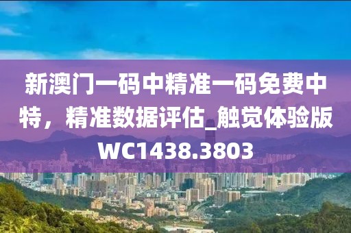 新澳门一码中精准一码免费中特，精准数据评估_触觉体验版WC1438.3803