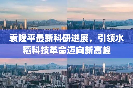 袁隆平最新科研进展，引领水稻科技革命迈向新高峰