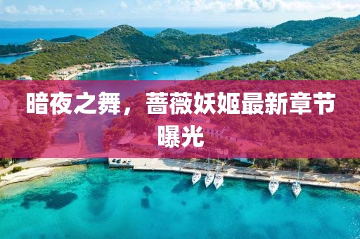 暗夜之舞，蔷薇妖姬最新章节曝光