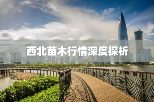 西北苗木行情深度探析