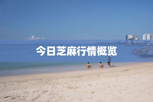 今日芝麻行情概览