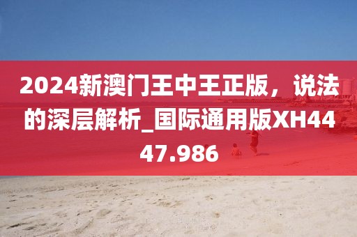 2024新澳门王中王正版，说法的深层解析_国际通用版XH4447.986