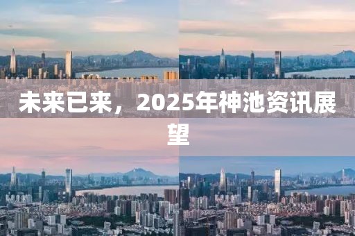 未来已来，2025年神池资讯展望