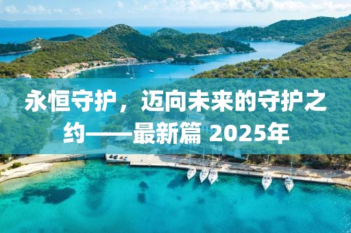 永恒守护，迈向未来的守护之约——最新篇 2025年