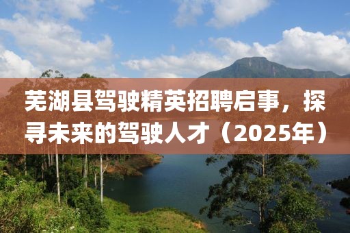 芜湖县驾驶精英招聘启事，探寻未来的驾驶人才（2025年）