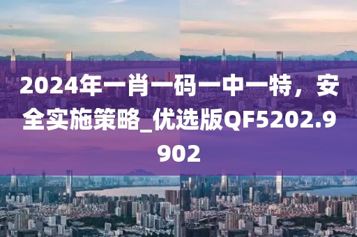 2024年一肖一码一中一特，安全实施策略_优选版QF5202.9902