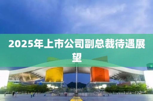 2025年上市公司副总裁待遇展望