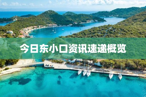 今日东小口资讯速递概览