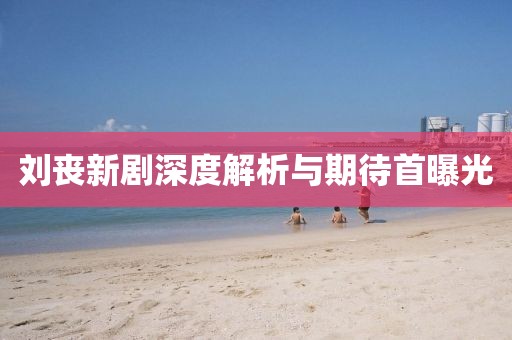 刘丧新剧深度解析与期待首曝光