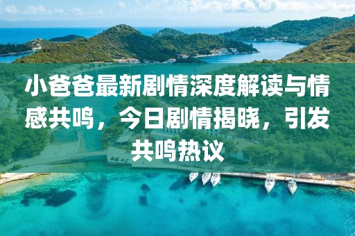 小爸爸最新剧情深度解读与情感共鸣，今日剧情揭晓，引发共鸣热议