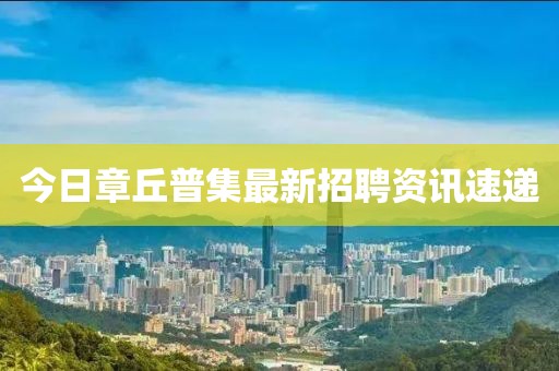 2025年4月5日 第5页