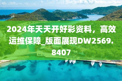 2024年天天开好彩资料，高效运维保障_版面展现DW2569.8407