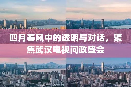 四月春风中的透明与对话，聚焦武汉电视问政盛会