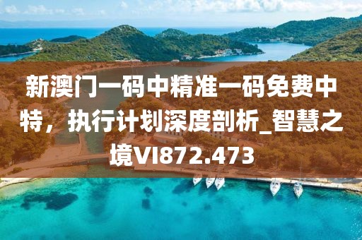 新澳门一码中精准一码免费中特，执行计划深度剖析_智慧之境VI872.473