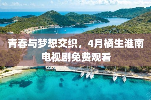 青春与梦想交织，4月橘生淮南电视剧免费观看