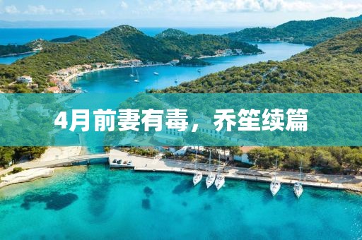 4月前妻有毒，乔笙续篇