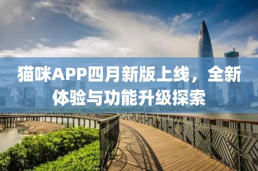 猫咪APP四月新版上线，全新体验与功能升级探索