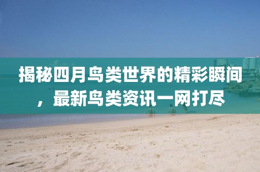 揭秘四月鸟类世界的精彩瞬间，最新鸟类资讯一网打尽
