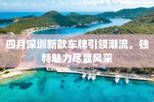 四月深圳新款车牌引领潮流，独特魅力尽显风采