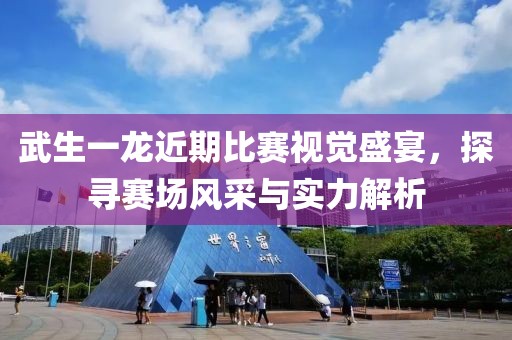 武生一龙近期比赛视觉盛宴，探寻赛场风采与实力解析