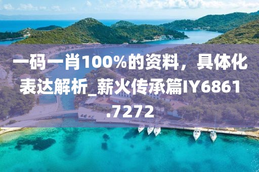 一码一肖100%的资料，具体化表达解析_薪火传承篇IY6861.7272