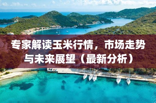 专家解读玉米行情，市场走势与未来展望（最新分析）