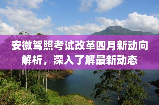 安徽驾照考试改革四月新动向解析，深入了解最新动态
