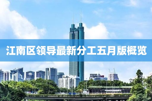 江南区领导最新分工五月版概览