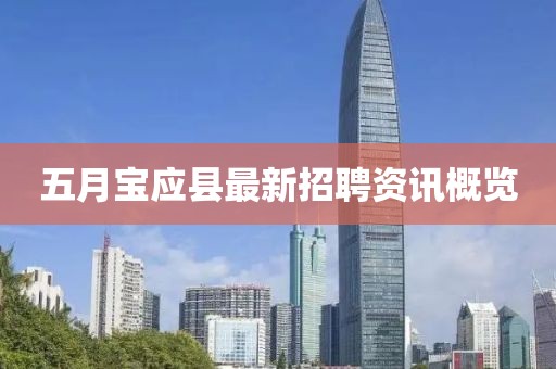 五月宝应县最新招聘资讯概览