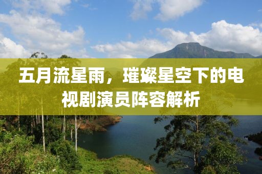 五月流星雨，璀璨星空下的电视剧演员阵容解析