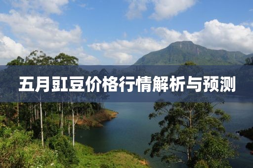 五月豇豆价格行情解析与预测