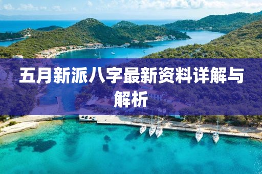 五月新派八字最新资料详解与解析