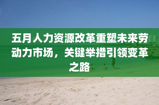 五月人力资源改革重塑未来劳动力市场，关键举措引领变革之路