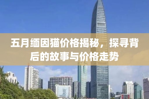 五月缅因猫价格揭秘，探寻背后的故事与价格走势