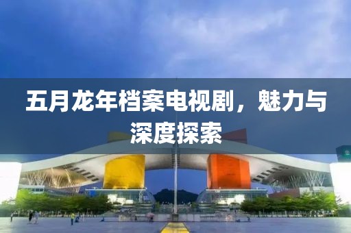 五月龙年档案电视剧，魅力与深度探索