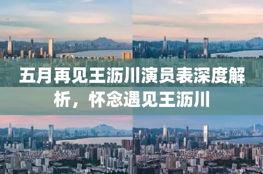 五月再见王沥川演员表深度解析，怀念遇见王沥川