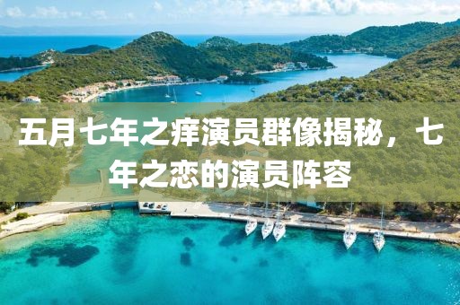 五月七年之痒演员群像揭秘，七年之恋的演员阵容