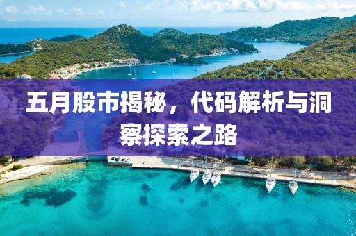 五月股市揭秘，代码解析与洞察探索之路