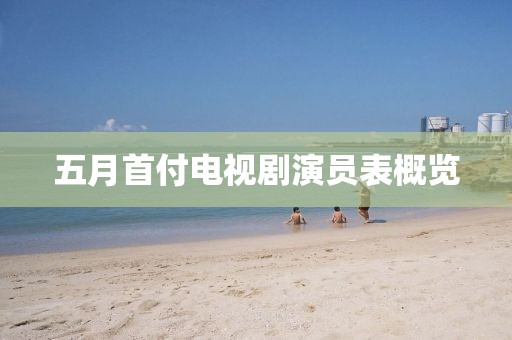 五月首付电视剧演员表概览