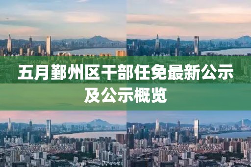 五月鄞州区干部任免最新公示及公示概览