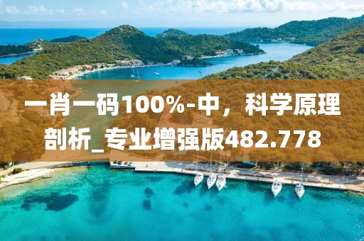 一肖一码100%-中，科学原理剖析_专业增强版482.778