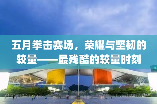 五月拳击赛场，荣耀与坚韧的较量——最残酷的较量时刻
