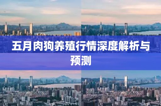 五月肉狗养殖行情深度解析与预测