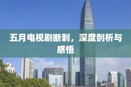 五月电视剧断刺，深度剖析与感悟