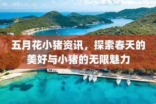 五月花小猪资讯，探索春天的美好与小猪的无限魅力