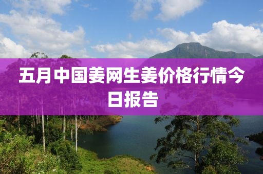 五月中国姜网生姜价格行情今日报告
